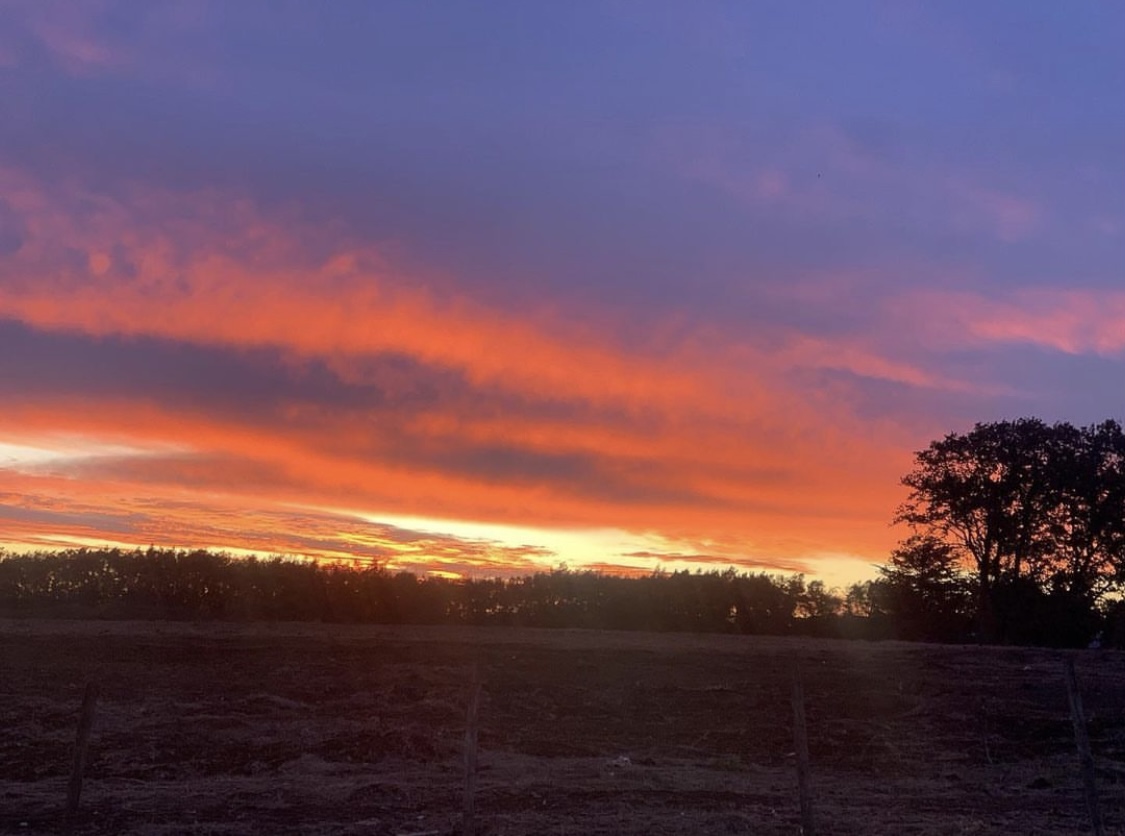 Atardecer angelino