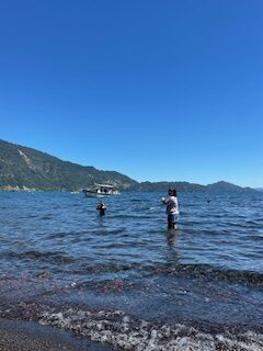 Lago Calafquen